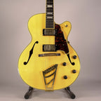 D'ANGELICO EX-DH HOLLOW EXCEL USATA