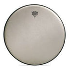 Remo Pelle Renaissance Ambassador 14 per tom e rullante