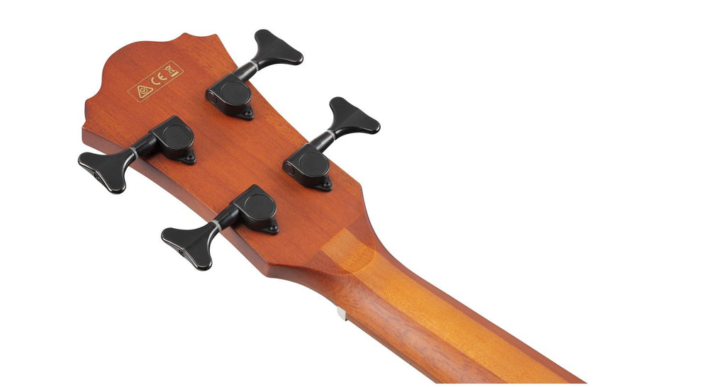 Ibanez Black Acoustic Electric Bass