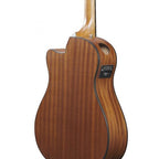 Ibanez AAM54CE Open Pore Natural