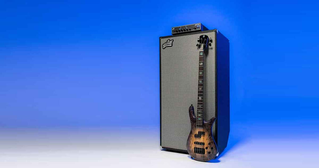Aguilar DB 810 - 4 ohm - black
