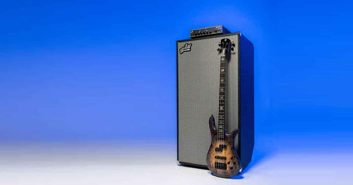 Aguilar DB 810 - 4 ohm - black