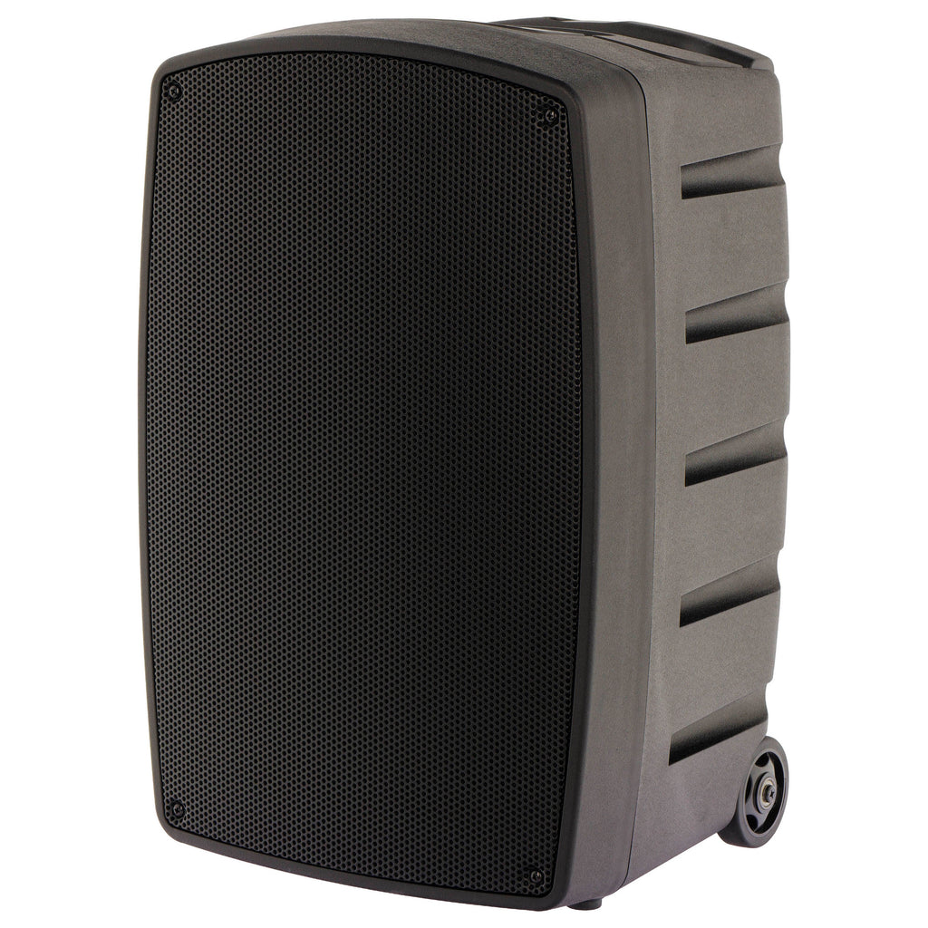 Algam Audio TR12-BT Altoparlante Portatile a Batteria con 2 Microfoni Wireless e Bluetooth