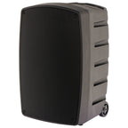 Algam Audio TR12-BT Altoparlante Portatile a Batteria con 2 Microfoni Wireless e Bluetooth
