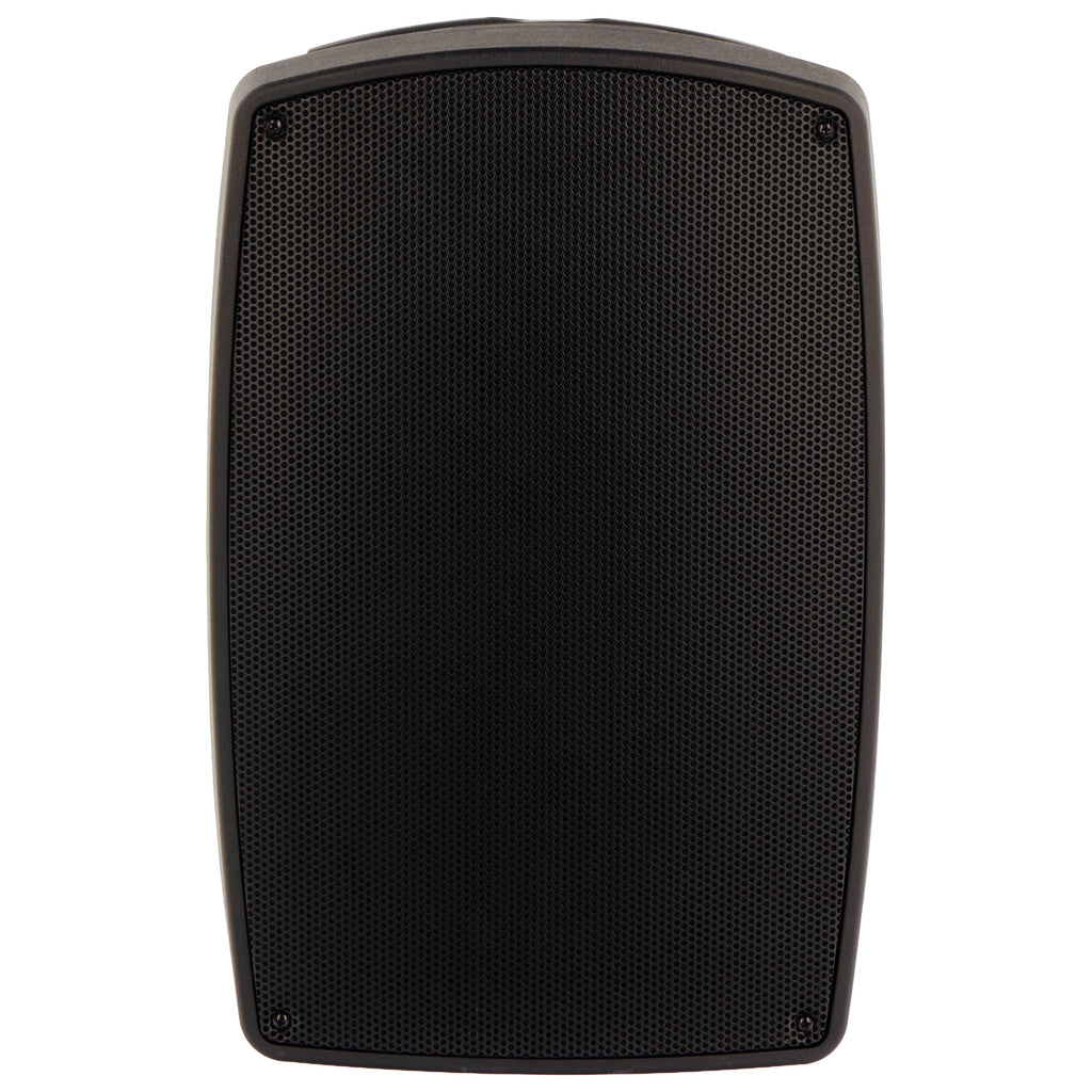 Algam Audio TR12-BT Altoparlante Portatile a Batteria con 2 Microfoni Wireless e Bluetooth