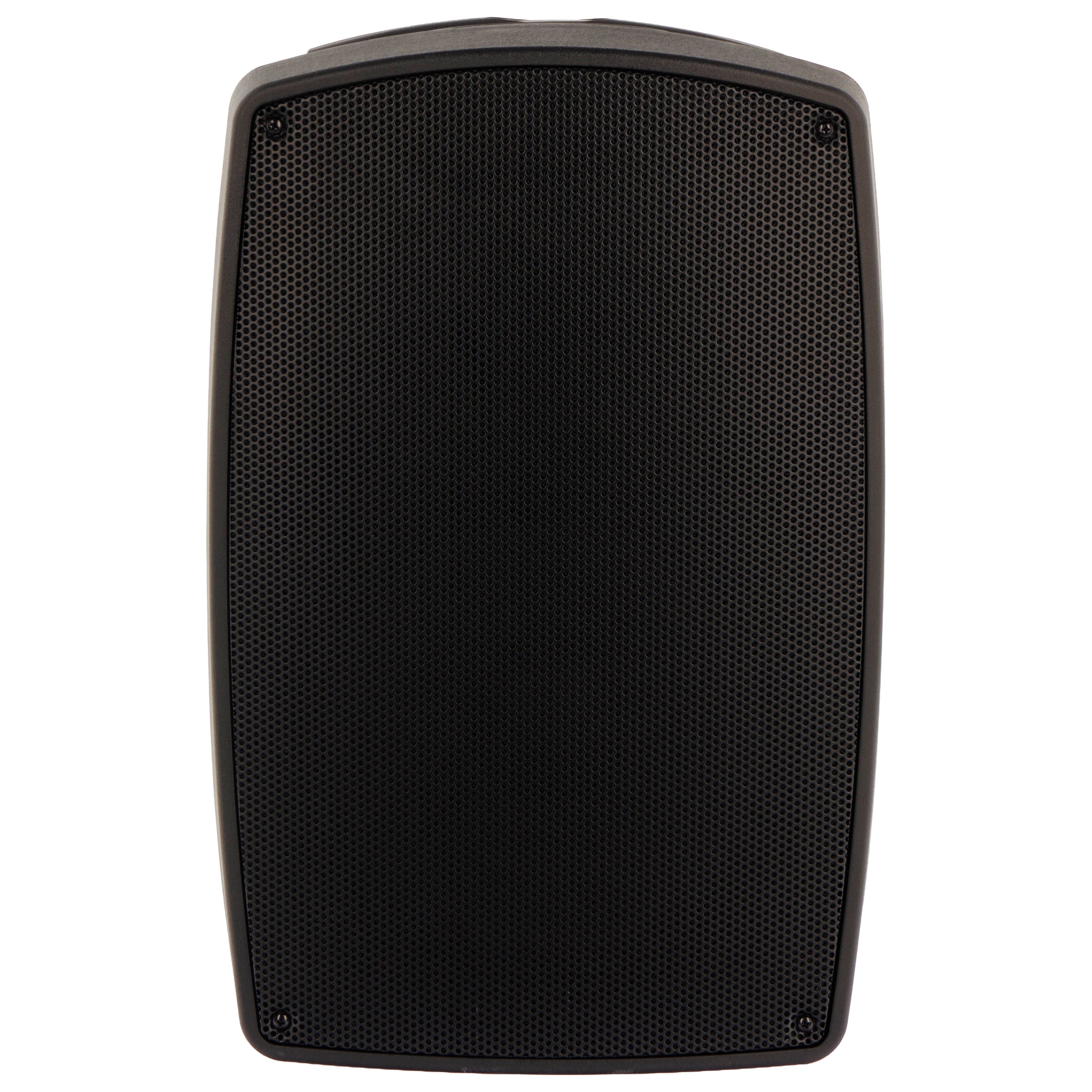Algam Audio TR12-BT Altoparlante Portatile a Batteria con 2 Microfoni Wireless e Bluetooth