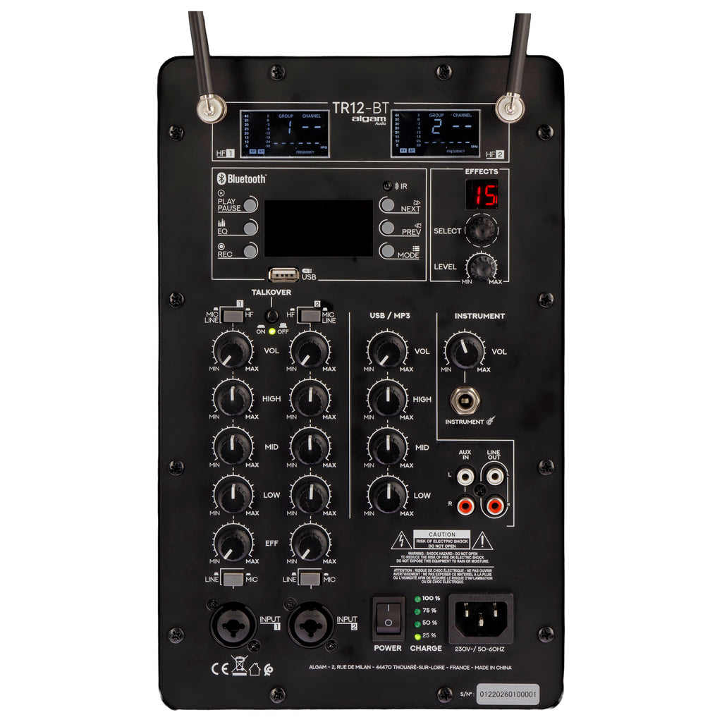 Algam Audio TR12-BT Altoparlante Portatile a Batteria con 2 Microfoni Wireless e Bluetooth
