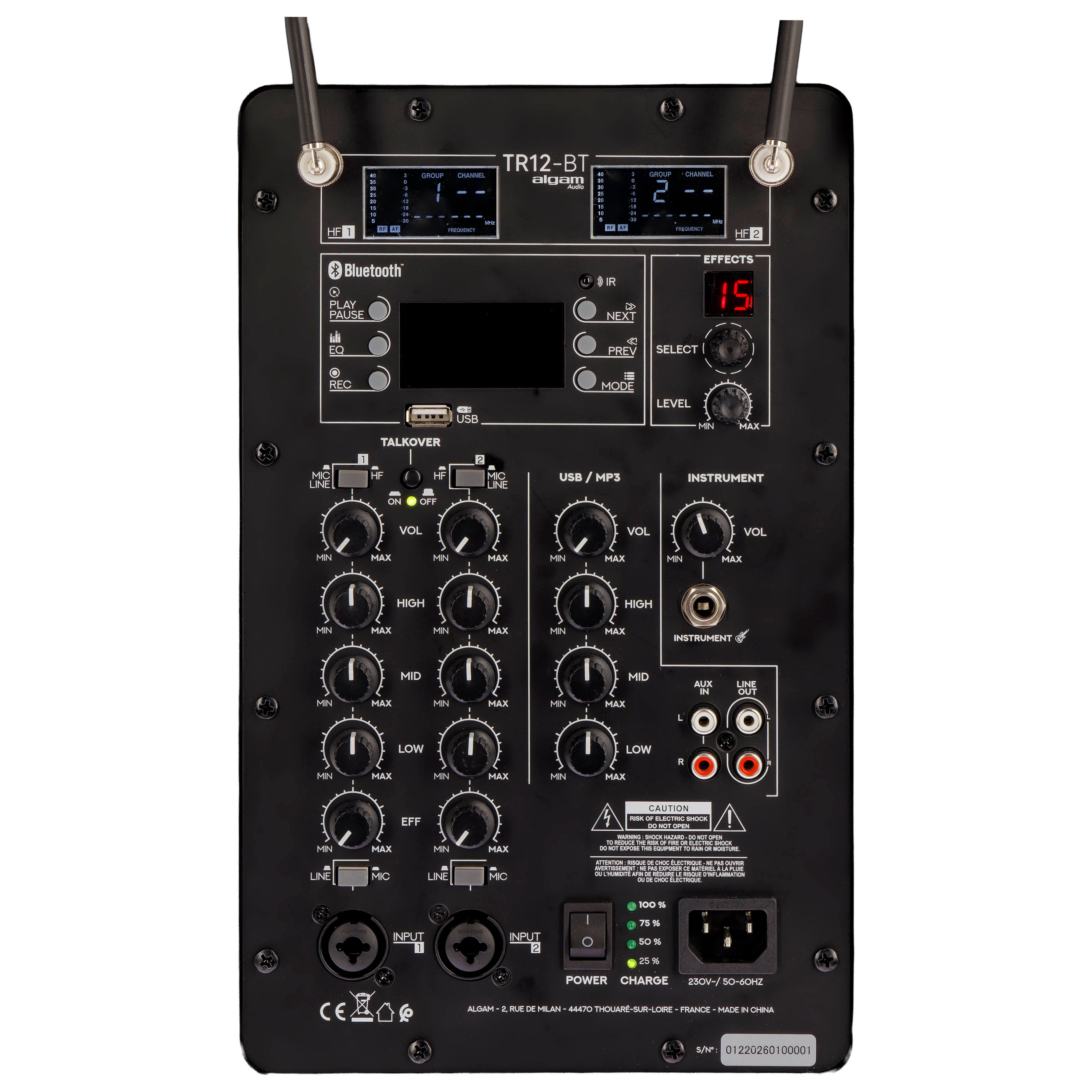 Algam Audio TR12-BT Altoparlante Portatile a Batteria con 2 Microfoni Wireless e Bluetooth