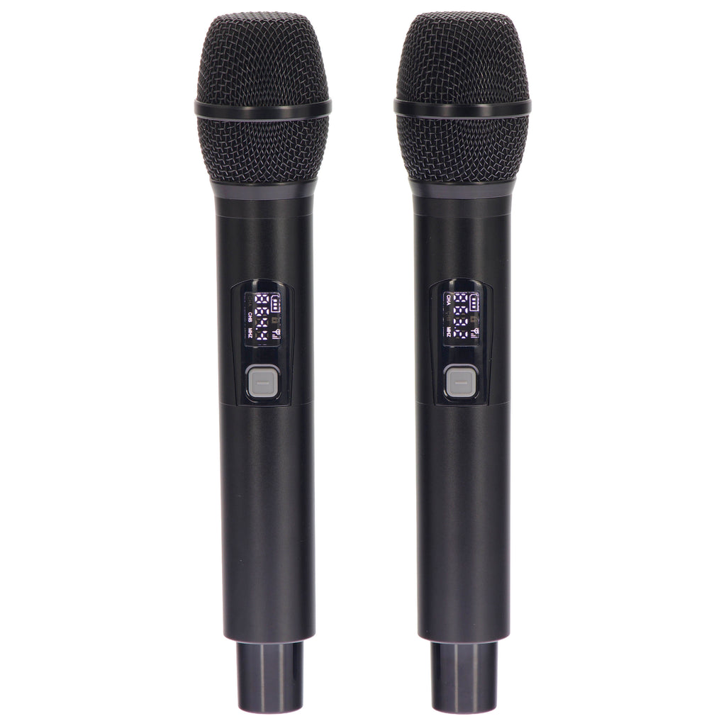 Algam Audio TR12-BT Altoparlante Portatile a Batteria con 2 Microfoni Wireless e Bluetooth