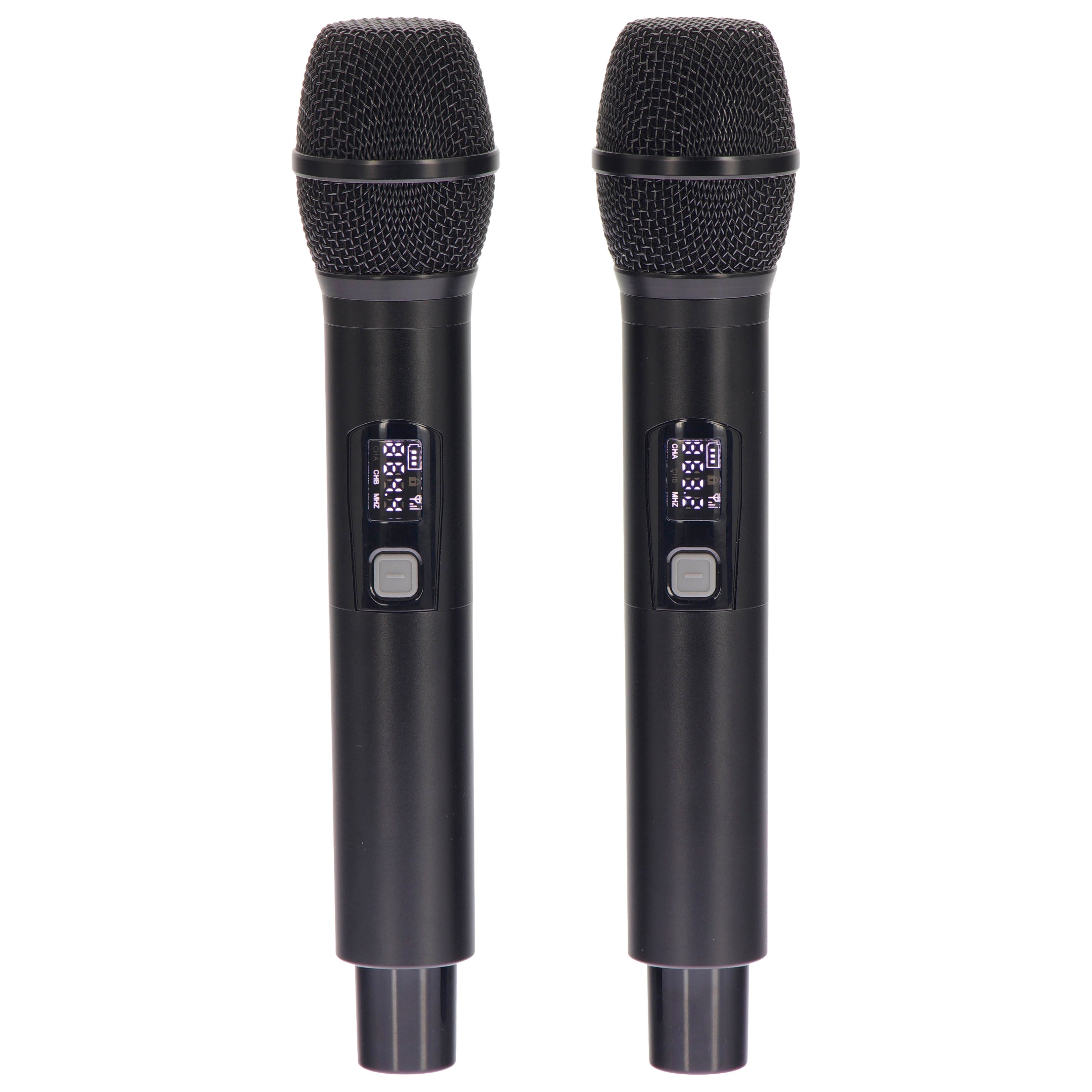 Algam Audio TR12-BT Altoparlante Portatile a Batteria con 2 Microfoni Wireless e Bluetooth