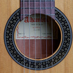 Alhambra 1 C HT Hybrid Terra con Custodia da 10 mm