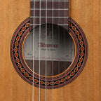 Alhambra Iberia Ziricote con Custodia da 10 mm