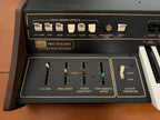 Arp Pro Soloist Usato con Custodia