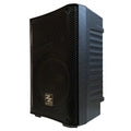 Zzipp Cassa Amplificata 8' con Bluetooth e Lettore Mp3