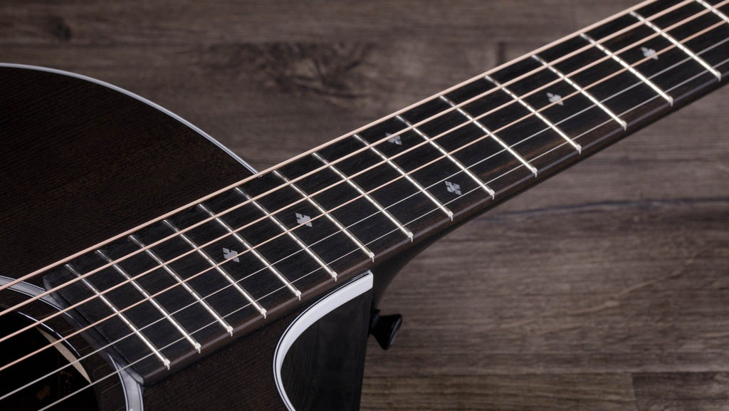 Taylor 214Ce-Dlx Ltd Trans Grey