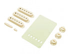 Fender Stratocaster Accessory Kit Aged White