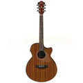 Ibanez Chitarra Acustica Elettrificata Natural Low Gloss ae295l