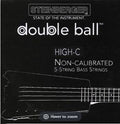 Steinberger Synapse 5 String Bass