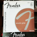 Fender Muta 60L Phosphor Bronze per Chitarra Acustica 12-53