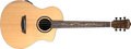 WASHBURN Bella Tono Suprema SC40SCE