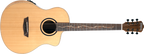 WASHBURN Bella Tono Suprema SC40SCE