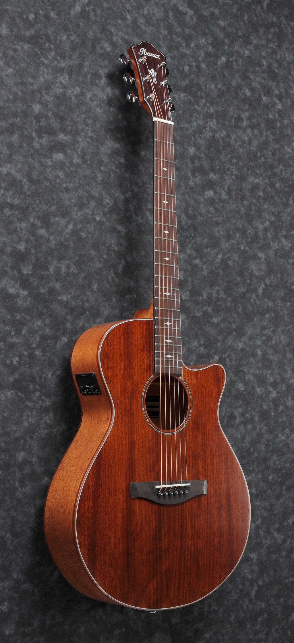 Ibanez Aeg220 Natural Low Gloss