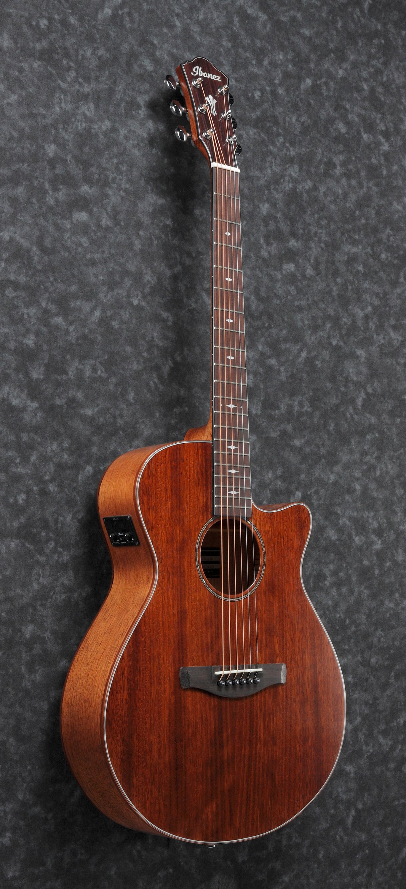Ibanez Aeg220 Natural Low Gloss