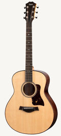 Taylor Gt Urban Ash Spruce