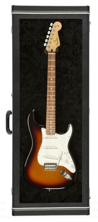 Fender Guitar Case Display Black