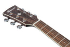 Ibanez AC340CEOPN Natural Open Pore