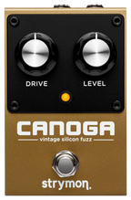 Strymon Canoga