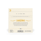 D'Addario J93 Muta Cavaquinho Stainless