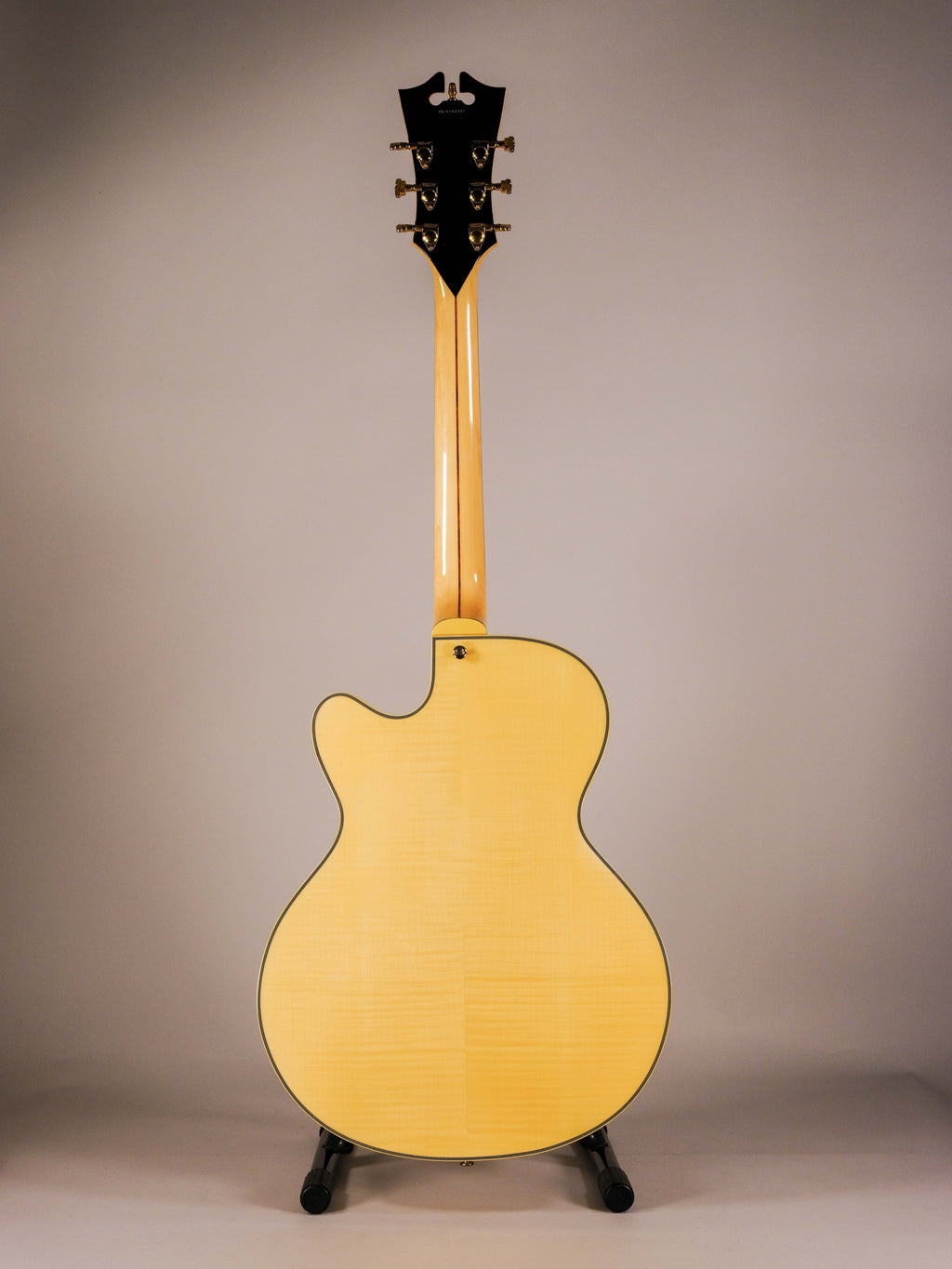 D'ANGELICO EX-DH HOLLOW EXCEL USATA