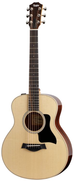 Taylor Gs Mini-E Rosewood Plus
