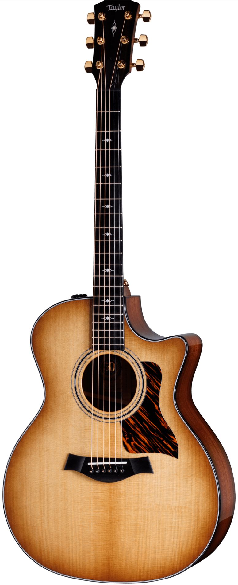 Taylor 314Ce LTD 50Th Anniversary