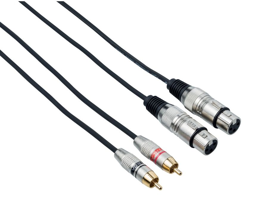 Bespeco Cavo due Connettori Maschi RCA e due Cannon Femmina Mt 5