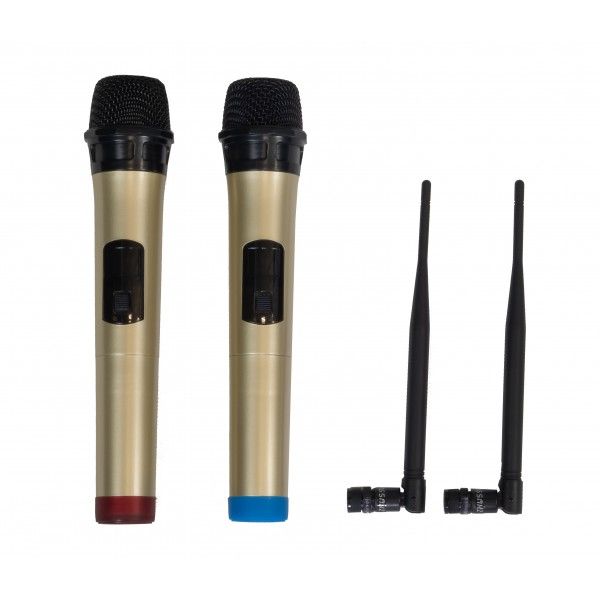 Zzipp Cassa Amplificata 12' All in One a Batteria 600W