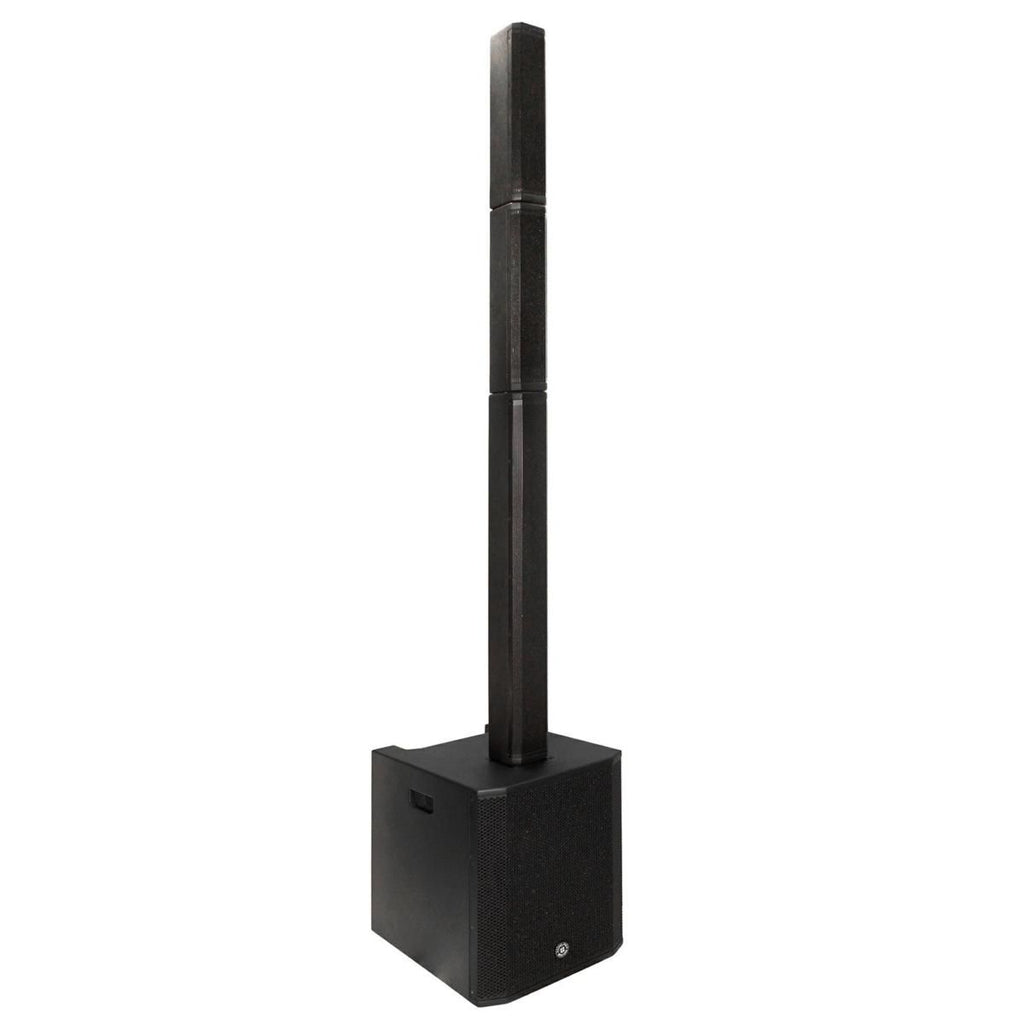 Topp Pro VA42.12 SYSTEM Sistema Audio a Colonna