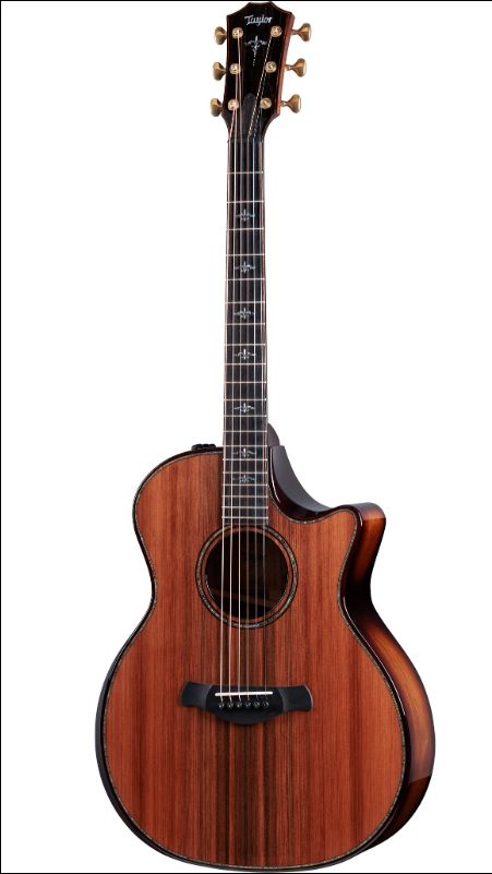 Taylor 914Ce Builders Edition