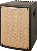 Ibanez T80II 80-Watt Acoustic Guitar Combo Amplifier