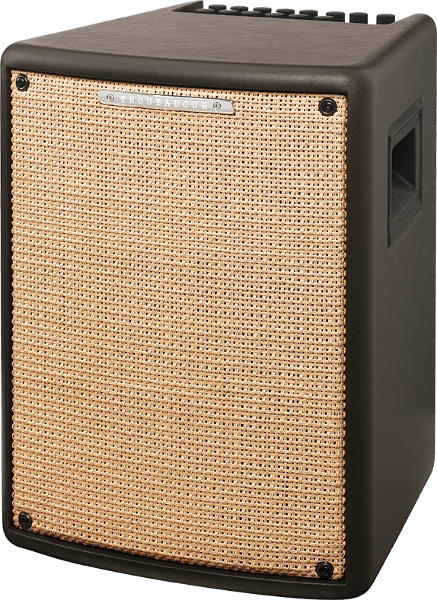 Ibanez T80Ii Combo Per Chitarra Acustica 80 Watt