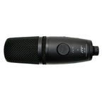 Jts JS1P Microfono Condensatore con Uscita USB per Registrazione Digitale