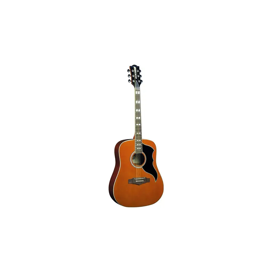 Eko Guitars Ranger VI VR Eq Natural Top Stained