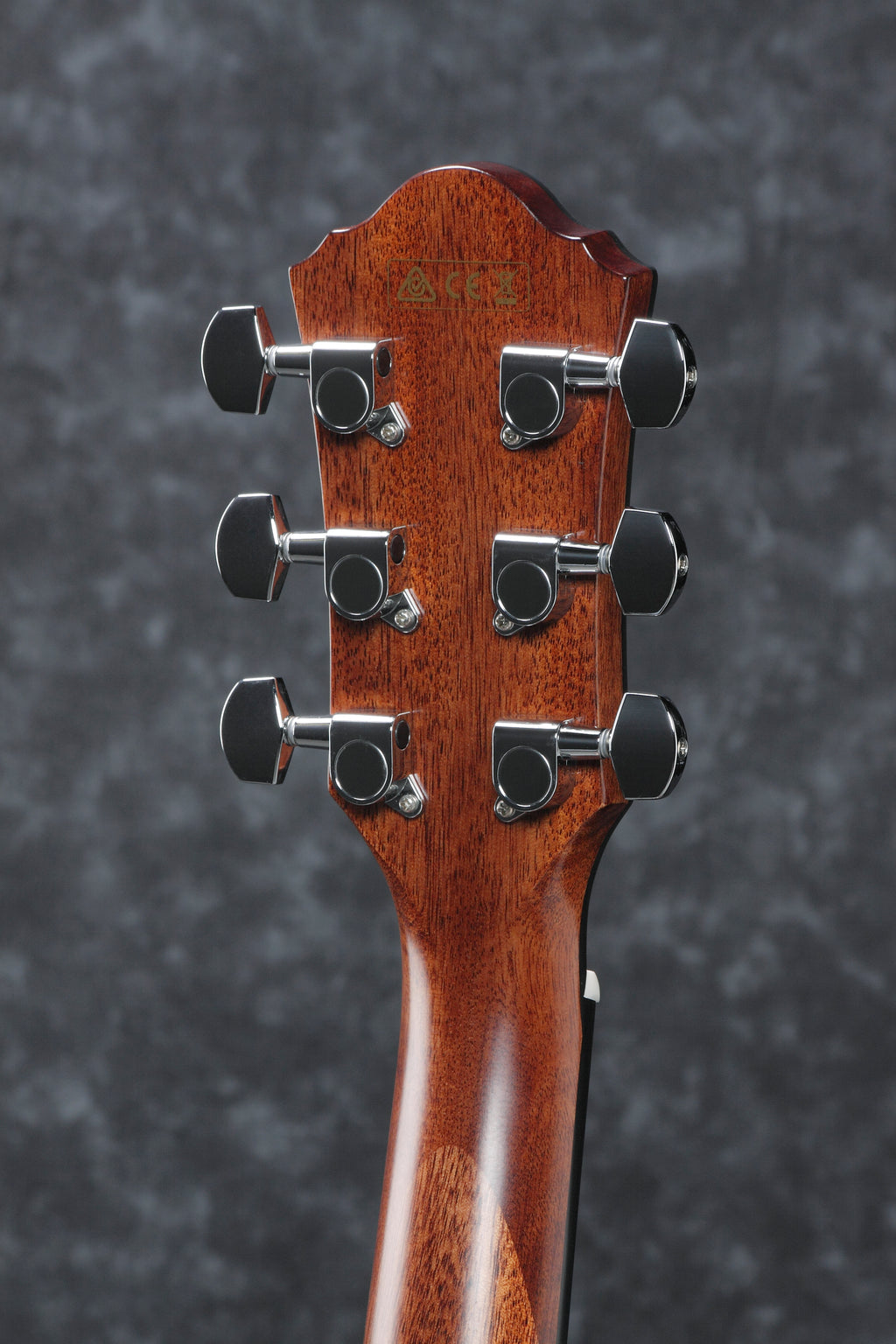 Ibanez Aeg220 Natural Low Gloss