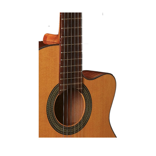 Jose torres Jtc-20ce