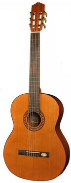 Salvador Cortez Cc22E Electrified Classical Guitar