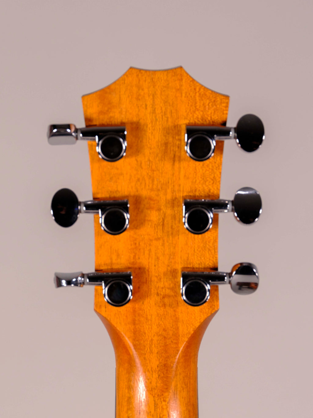 TAYLOR GS MINI ROSEWOOD E USATA