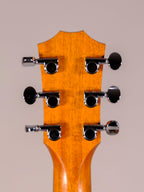 TAYLOR GS MINI ROSEWOOD E USATA