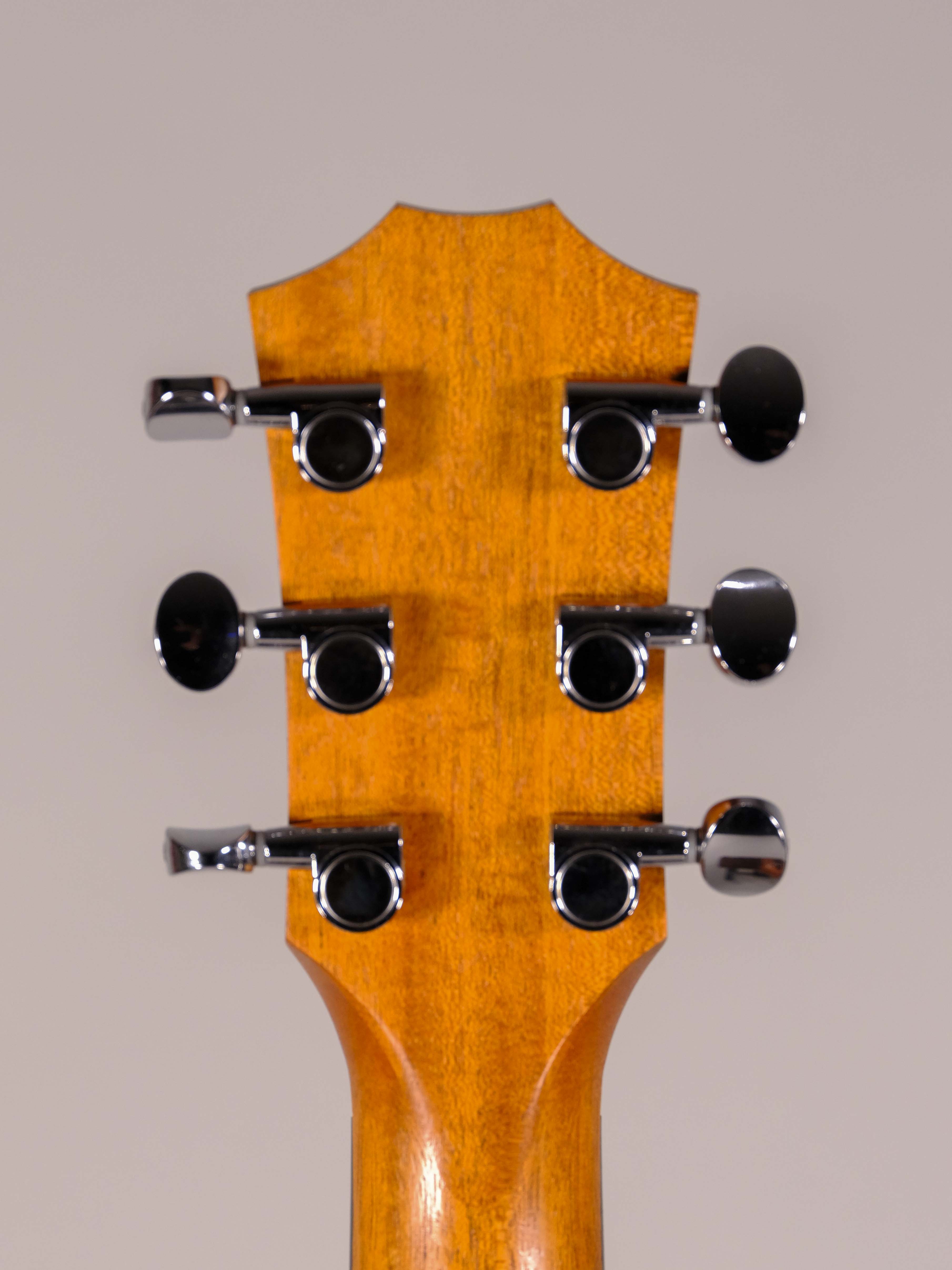 TAYLOR GS MINI ROSEWOOD E USATA
