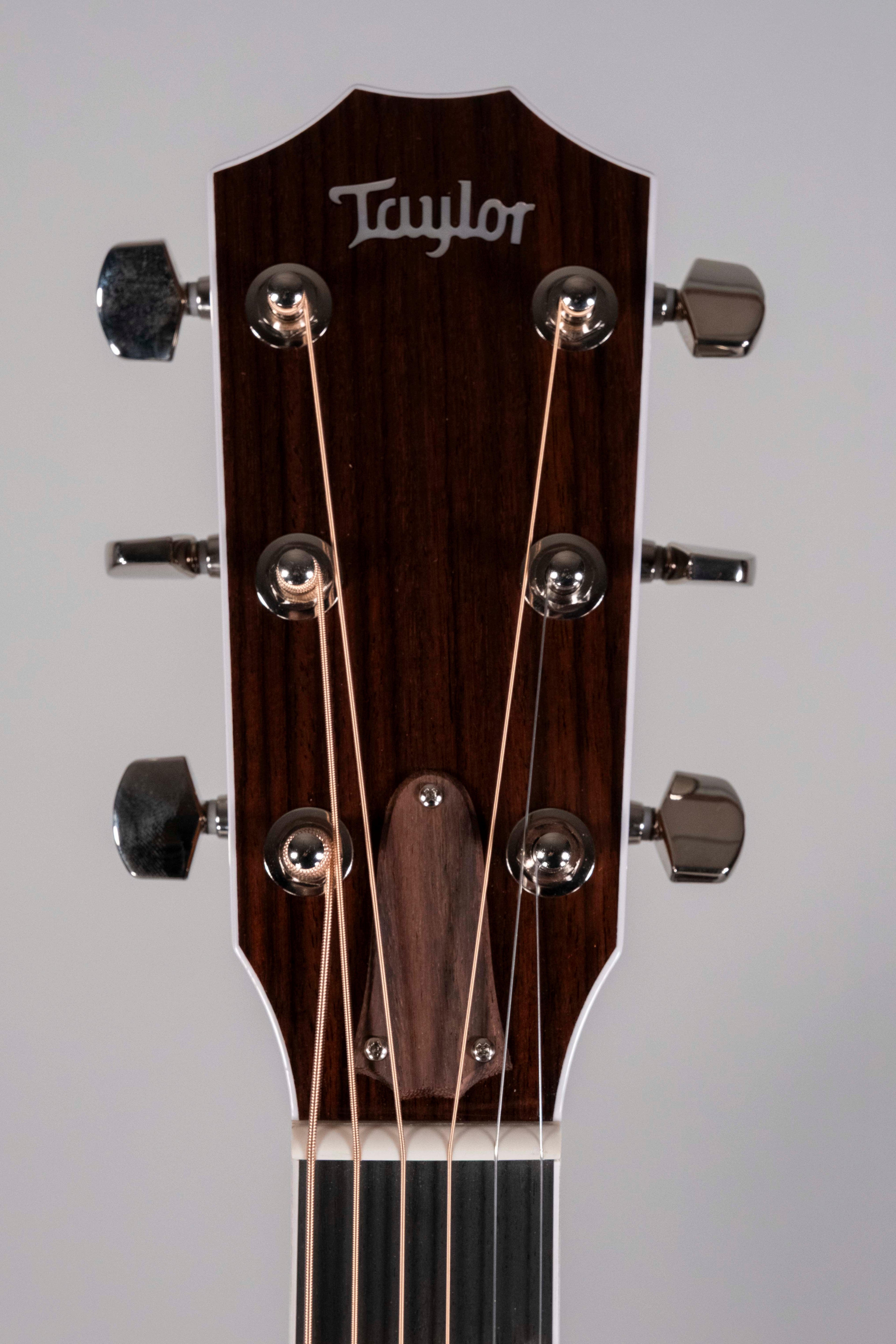 Taylor 810E Legacy